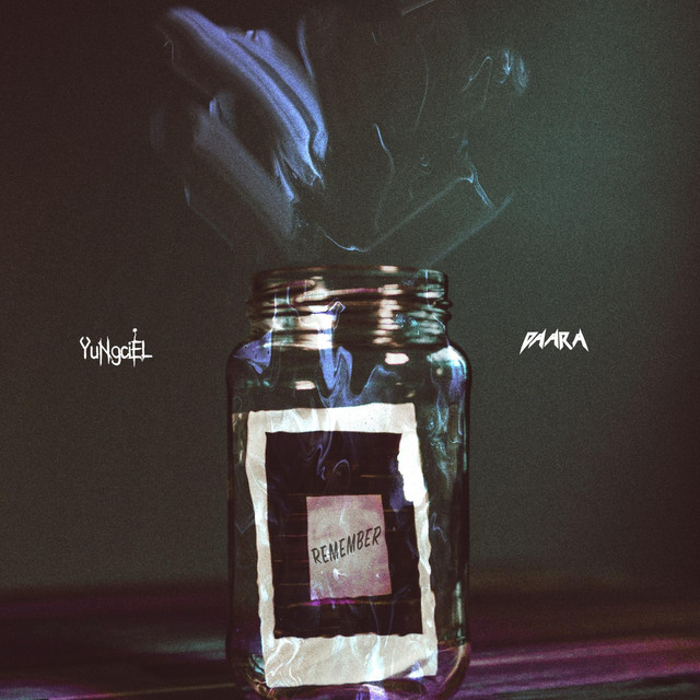 Remember cover art