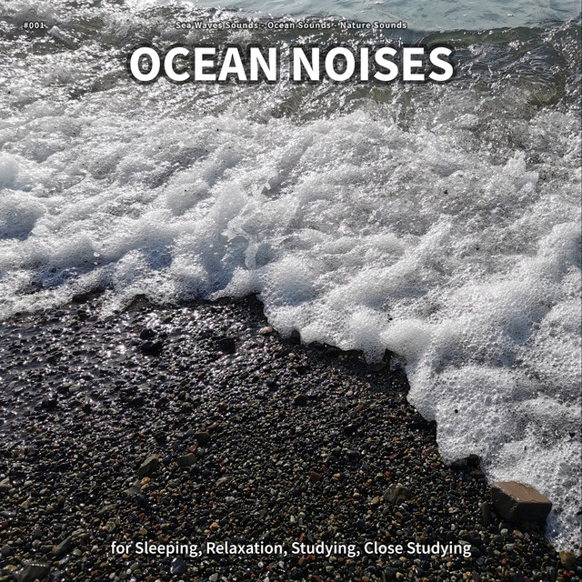 #001 Ocean Noises for Sleeping, Relaxation, Studying, Close Studying cover art