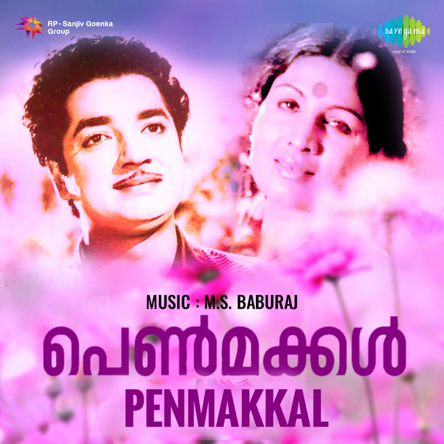 Pullimaan Mizhi cover art