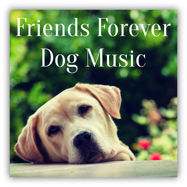 Friends Forever Dog Music cover art
