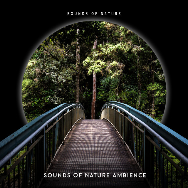 Sounds of Nature Ambience - Album by Sounds of Nature | Spotify