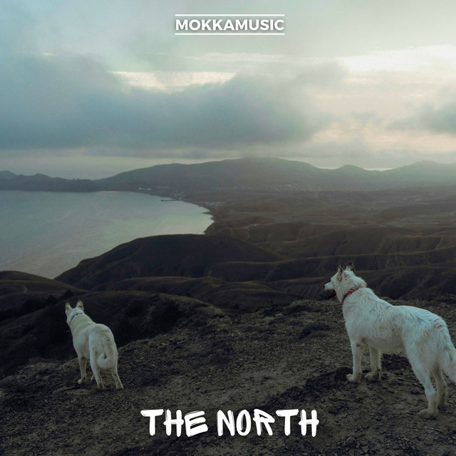 The North album image