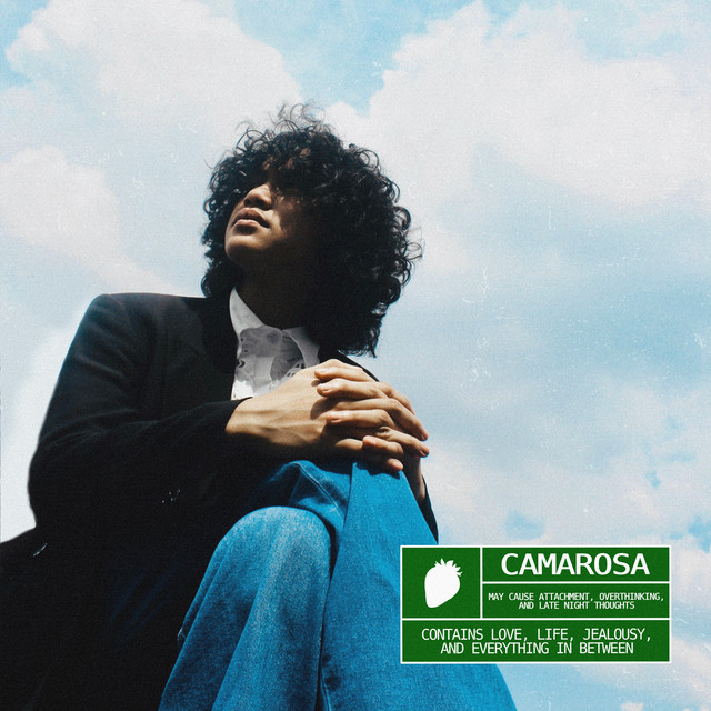 Camarosa cover art