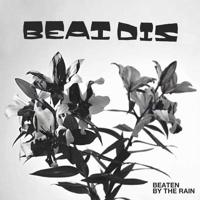 Beaten by the Rain cover art