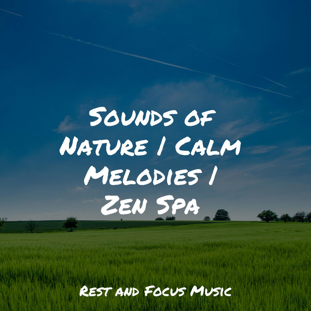 Sounds of Nature | Calm Melodies | Zen Spa - Album by Musica Reiki ...
