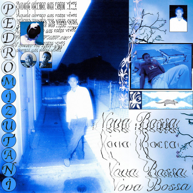 NOVA BOSSA: aquele abraço aos ratos vivos cover art