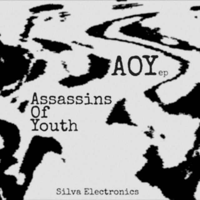 Assassins Of Youth