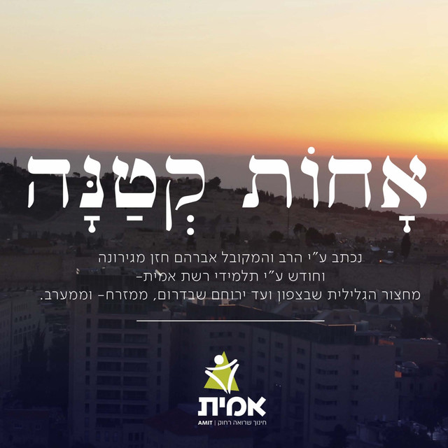 רשת אמית