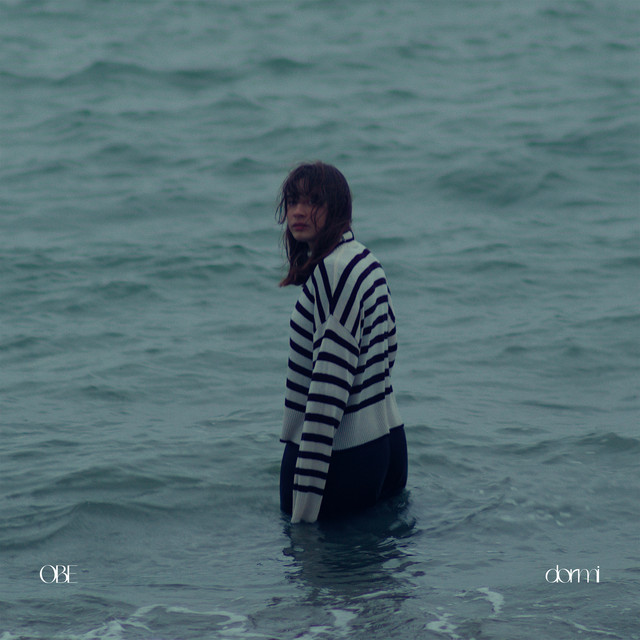 dormi cover art
