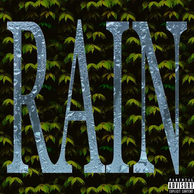 Rain cover art
