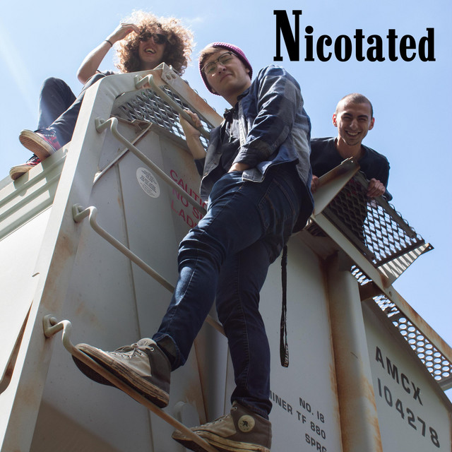 Nicotated cover art