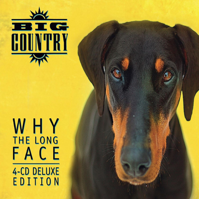 4CD-BOX！ビッグ・カントリー / WHY THE LONG FACE Why the Long Face - Album by Big Country | Spotify