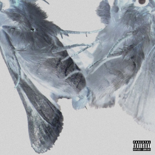 We.ing cover art