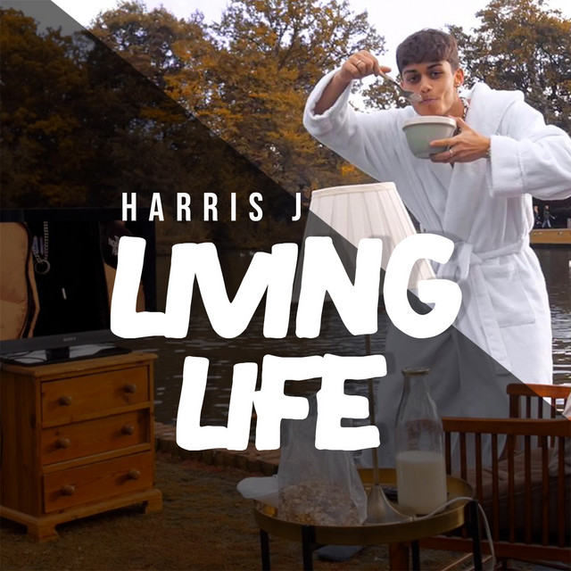 Living Life cover art