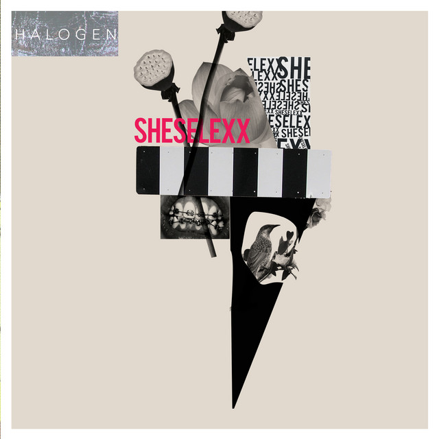 SheSelexx cover art