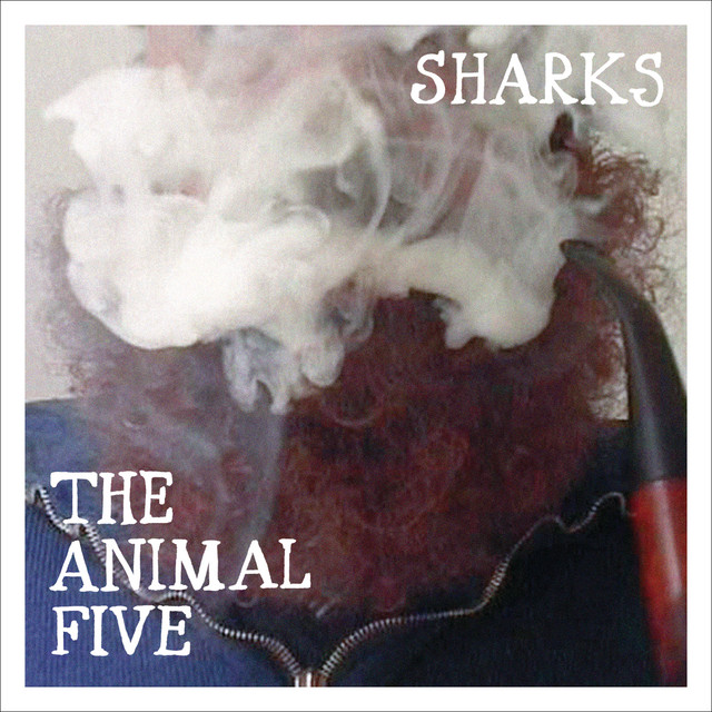 Sharks cover