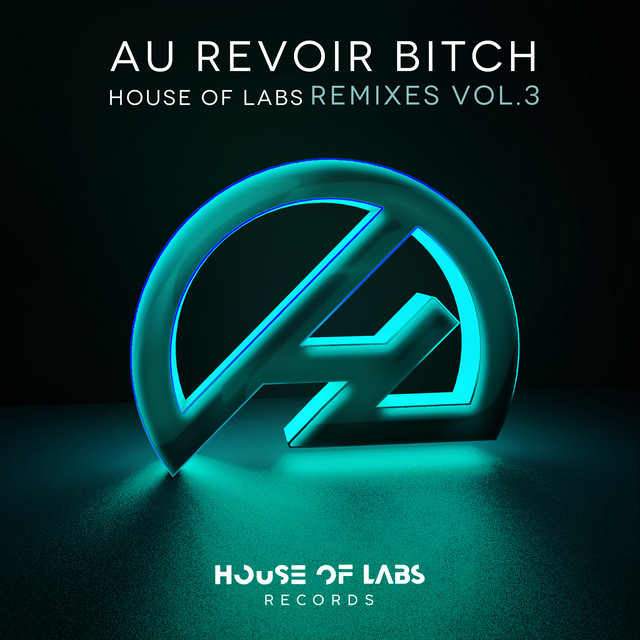 Au Revoir Bitch - Robkrest & Javier Texidor Remix cover art
