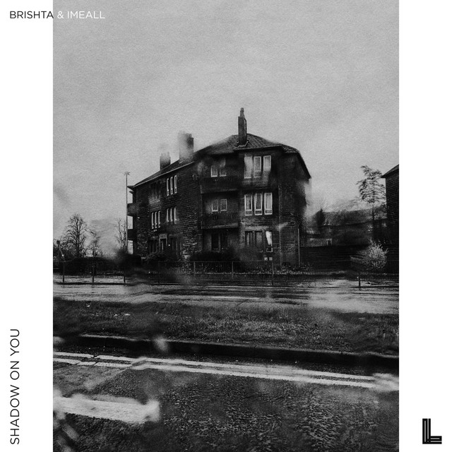 Cover art: Shadow on You - Original Mix — Brishta
