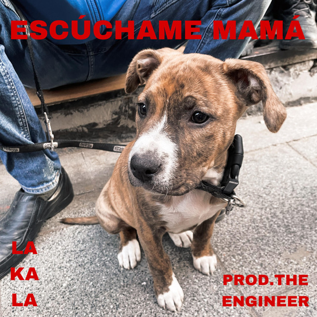 Escúchame mama cover art