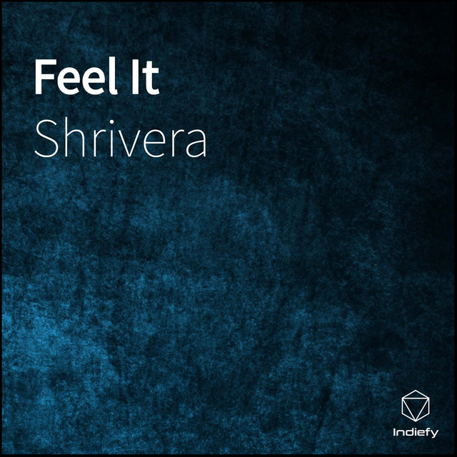 Обкладинка: Feel It — Shrivera