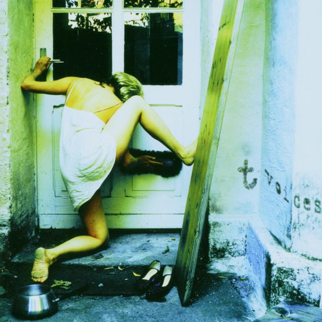 Voices cover art