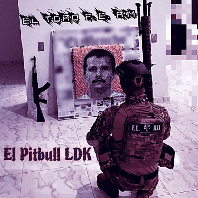 El Toro F. E. R11