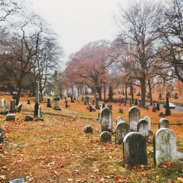 Drippin So Pretty - November Leaves