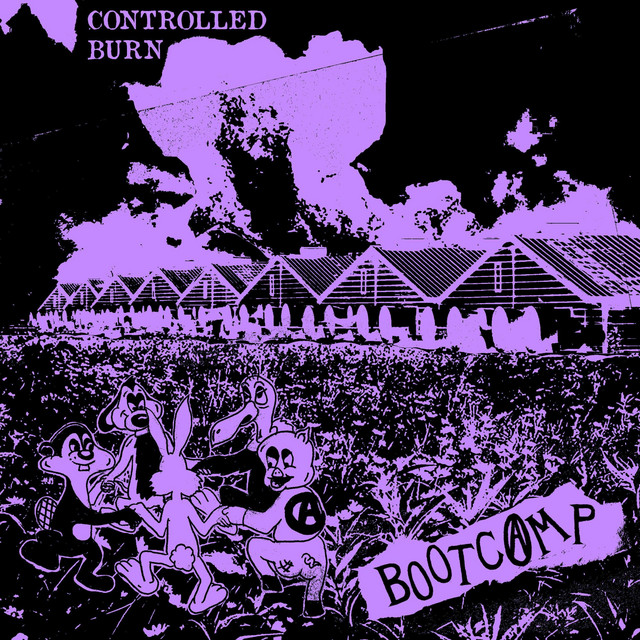 CONTROLLED BURN cover art
