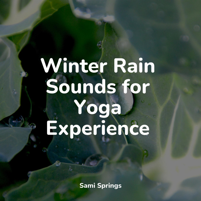 Winter Rain Sounds for Yoga Experience - Album by Rain Sounds Sleep ...