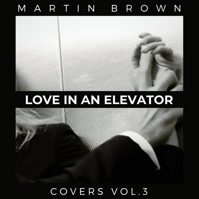 Love In An Elevator cover art