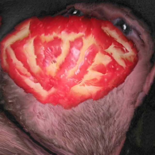 Rotten Apple cover art