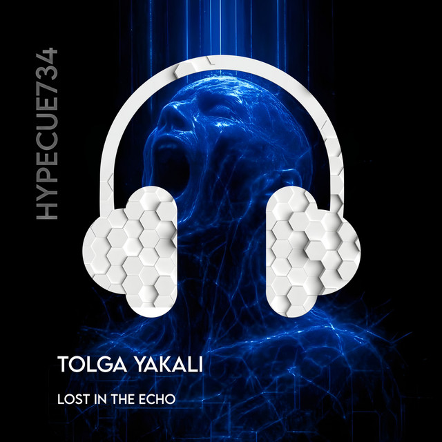 Lost in the Echo