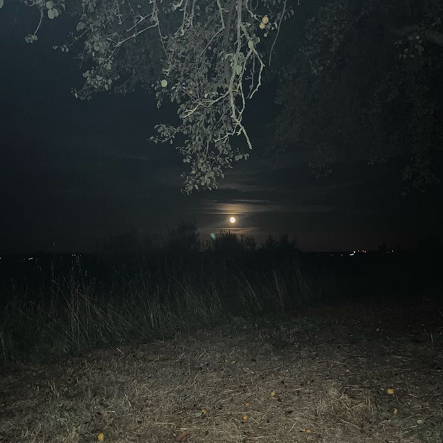 fine line - instrumental slowed & reverb with rain