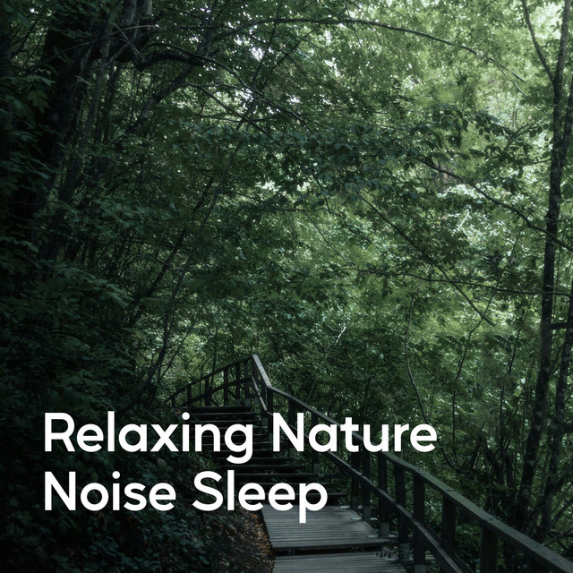 Relaxing Nature Noise Sleep