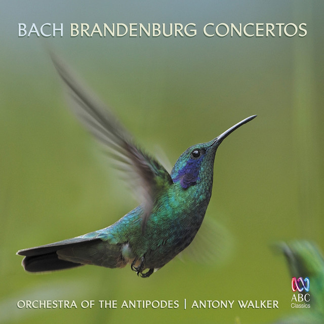 Brandenburg Concerto No. 3 in G Major BWV 1048: I. [Allegro]