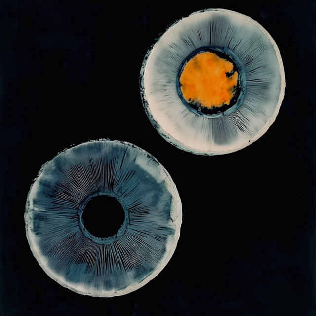 Hello Walls cover art