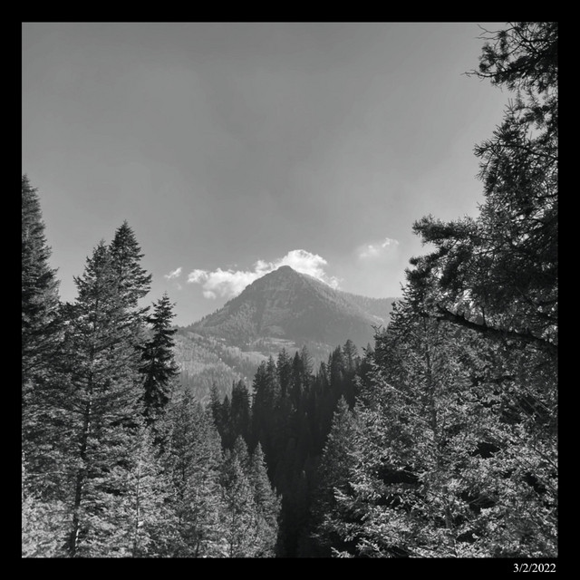 When I Meet You (live, 3/2/2022) cover art
