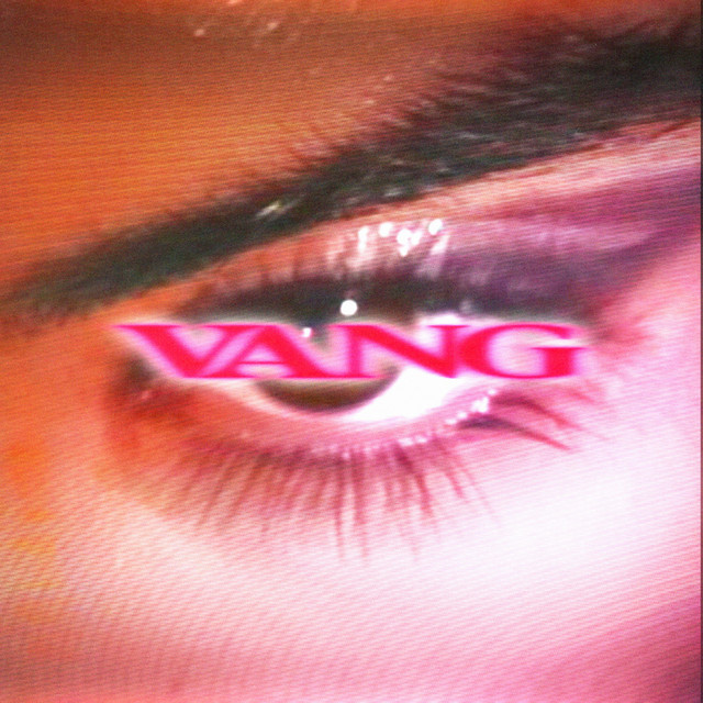 VANG cover art