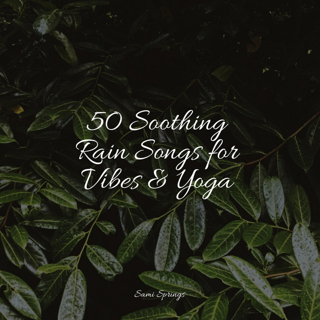 50 Soothing Rain Songs for Vibes & Yoga - Album by Life Sounds Nature ...