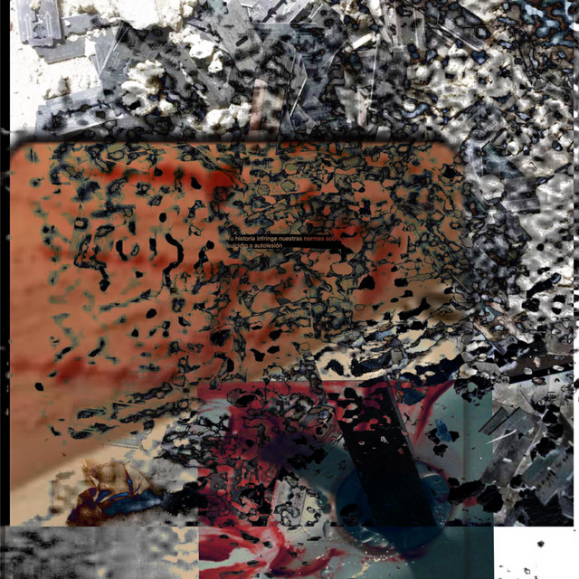 reeem plazable cover art