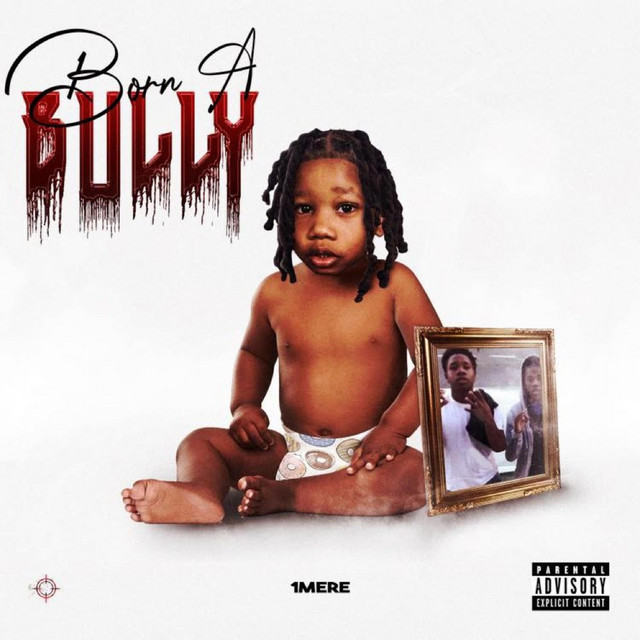 Born A Bully cover art