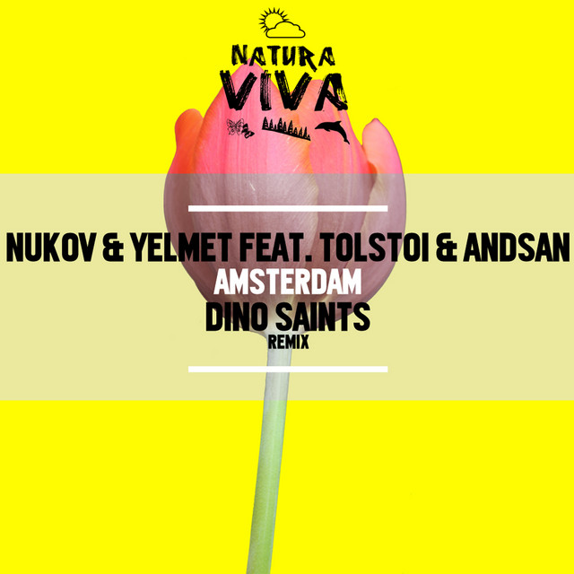 Amsterdam cover art