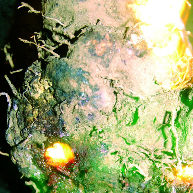 An Eerie Fire Eats the Brain cover art