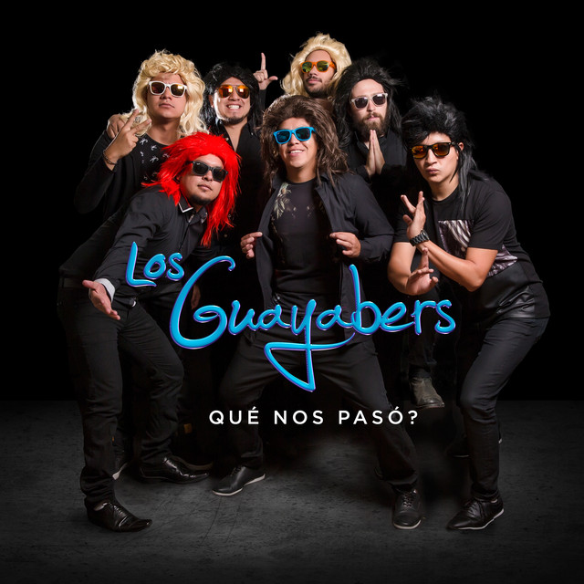 ¿Qué nos pasó? cover art