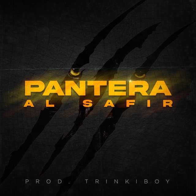 Pantera cover art