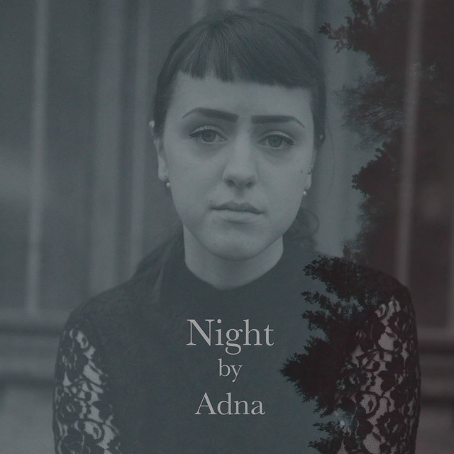 Night cover art