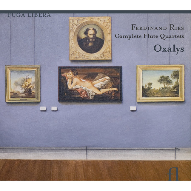 Quartet No. 1 for Flute, Violin, Viola and Violoncello in D Minor, WoO 35: I. Allegro