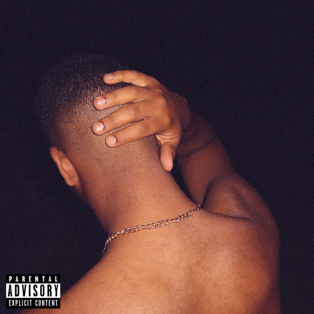 Indigo cover art