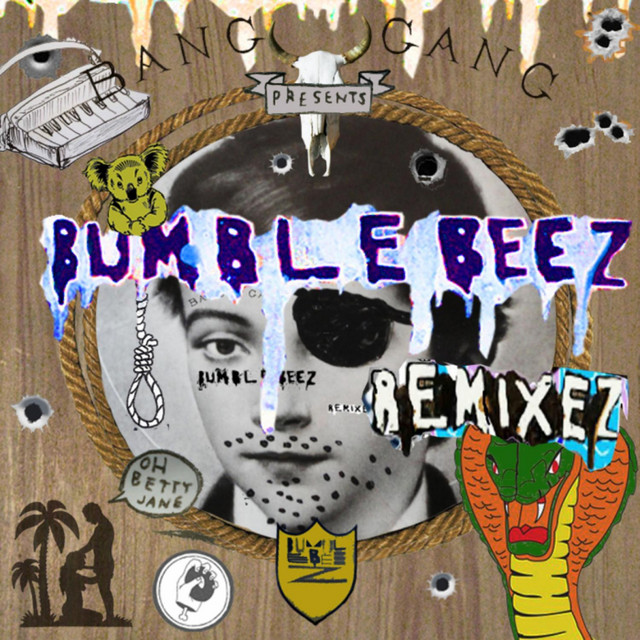 World Wild Web Remixez cover