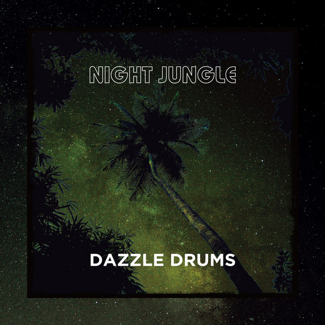 Night Jungle cover art